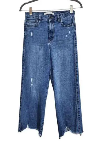 Cropped Distressed Denim Size 27 Ella Moss Wide Leg Cropped Jeans