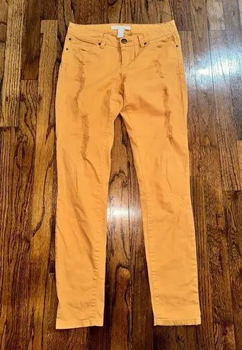 Life in Progress NWOT Ripped Skinny Jeans 25