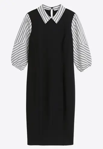 New York & Company Ponte Dress