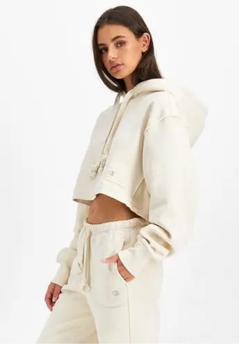 Champion Reverse Weave Natural State Cropped Hoodie Off White Cream Medium NWT