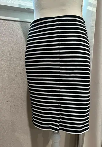 Anne Klein  Pencil Skirt