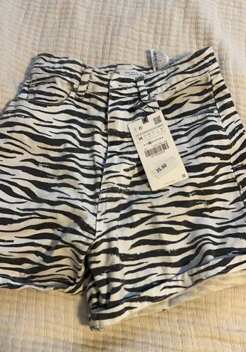 ZARA Shorts