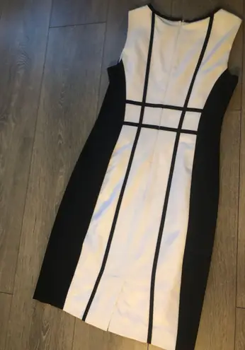 Calvin Klein Black And White Professional Dress