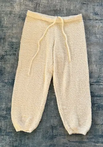 SKIMS Cozy Fluffy Knit Jogger Lounge Pants in Bone Size 2X / 3X