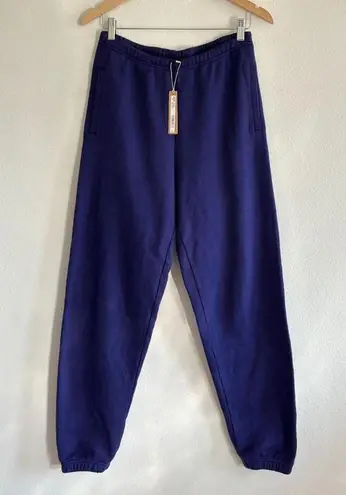SKIMS Cotton Fleece Classic Jogger in Concord, Size Small