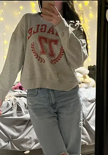 American Eagle Outfitters Crewneck