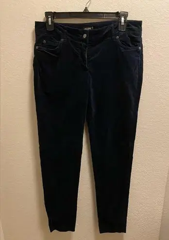 J. McLaughlin  Watson Blue Velvet Jeans Size 8.