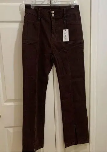 Cider Brown and Black Striped Pants Size Medium to Large NWT