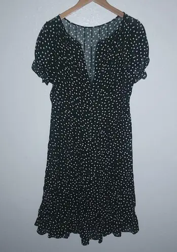 Sandra Darren 16 Black White Dot Dress Plus