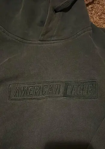 American Eagle Outfitters Embroidered Hoodie