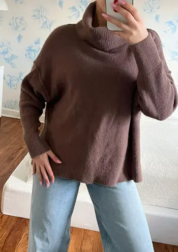 Aerie Brown Turtleneck Sweater