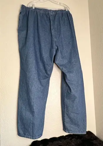 Woman Within New  Classic Fit Size 36 T Blue Jeans Item