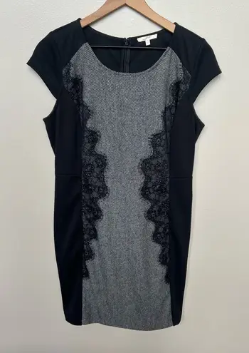 Mystree Elegant Black and Gray Lace Panel Knit Dress Cap Sleeve Large