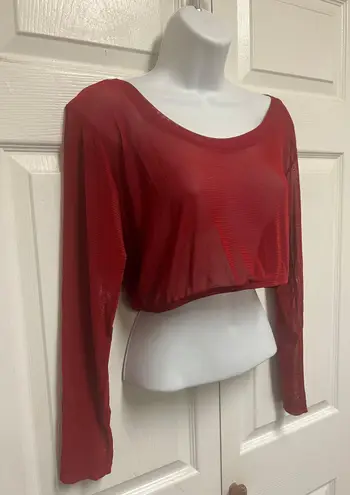 Pretty Angel Wine Sheer Cropped Mesh Top