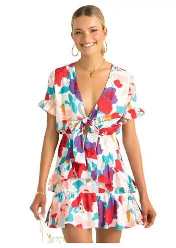 Petal and Pup Floral Tie Front Tiered Mini Dress Size 4 NEW with Tags