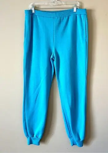 None Teal Fleece Lined Joggers Sz L