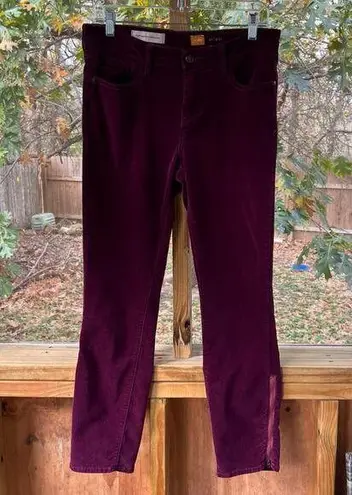Pilcro and the Letterpress Anthropologie Pilcro Stet Cords Burgundy Tapered Leg Ankle Zip Size 29"