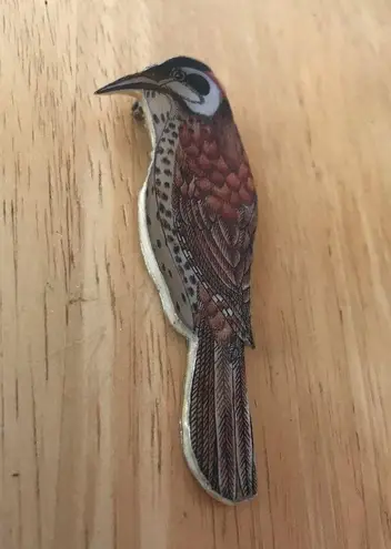Bird Pin Brooch Handmade vintage bird watcherNew