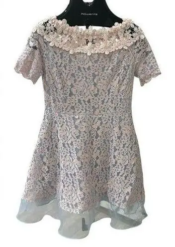 Elegant Floral Lace Dress with Sheer Hem and Flower Appliqué Details Pink Size L