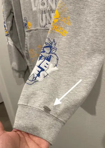 Looney Tunes Grey Bugs Bunny Hooded Sweatshirt