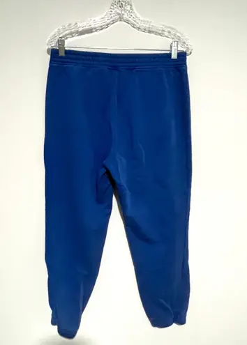 Banana Republic Factory Blue Cozy Comfy Sweatpants