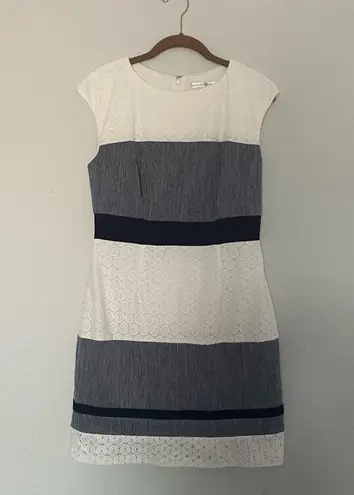 Sandra Darren Textured Striped Sheath Dress Sleeveless by Size 8