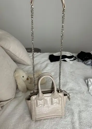 ZARA Purse