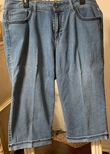 Baccini ⚡️⚡️⚡️BOGOHO⚡️⚡️⚡️Ladies Denim Wide Leg Capris