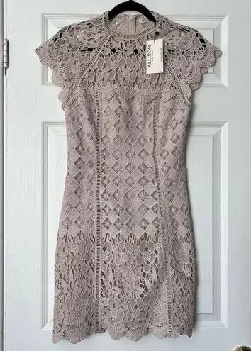 Allison New York Crochet Overlay Dress