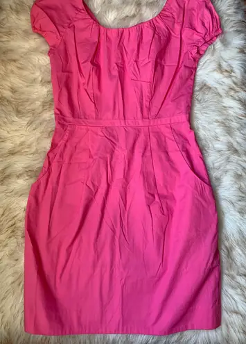 J.Crew Pink Mini Dress