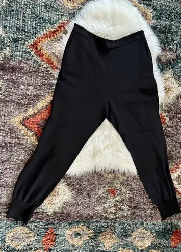 Stella McCartney Jogger Pants | Black | L / XL