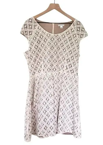 Garnet Hill Women’s Battenberg Lace Overlay Mini Dress White Cream Brown Size 16