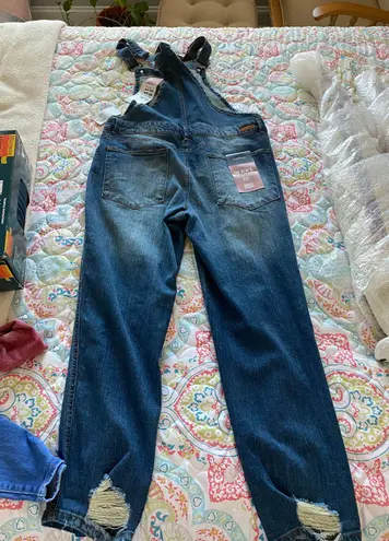 Almost Famous Distressed Overalls