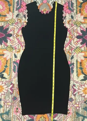 ALC Frank A.L.C. Aldridge Cutout Bodycon Scalloped Knit Dress New Size Medium