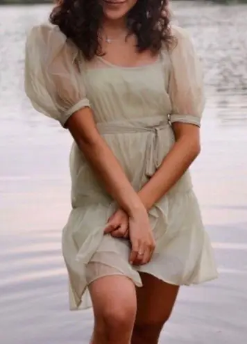 We Wore What Danielle Bernstein Puff Sleeve sheer dress