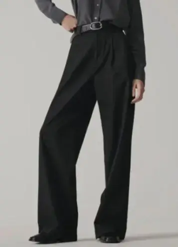 Everlane  The Way-High Drape Wide Leg Baggy Pant In Black Size 6 SHORT