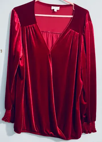 Wonderly Wine Red Velour Peasant Blouse V Neck Stretchy Comfort