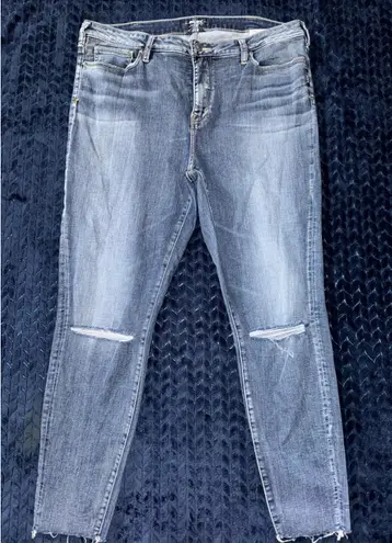 Silver Jeans Co. Robson Distressed High Rise Skinny Jeans Sz 14