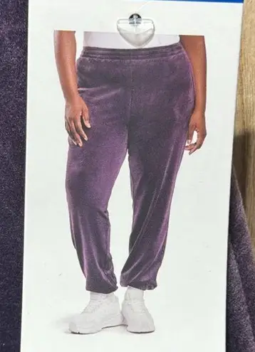 Lazypants Womens Heavyweight High Rise Velour Joggers NWT Purple Size L