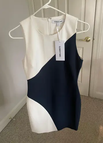 Elizabeth and James Designer Dress Color lock Navy And White