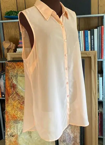 Attention Sheer Peach Blouse