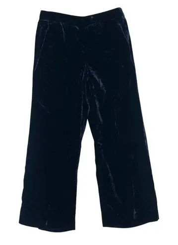 J Crew Velvet Wide