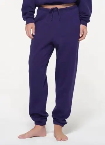 SKIMS Cotton Fleece Classic Jogger in Concord, Size Small