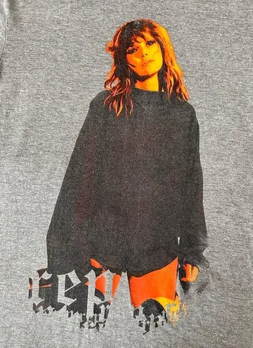 Taylor Swift Reputation T-Shirt Tee Gray SS Pop Music Singer Songwriter Tour