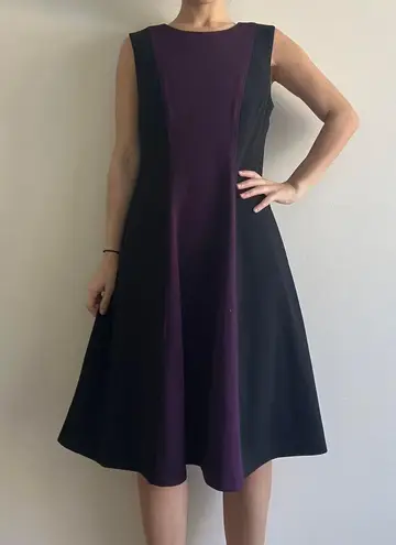 Tommy Hilfiger Plum Purple  Dress Size 8