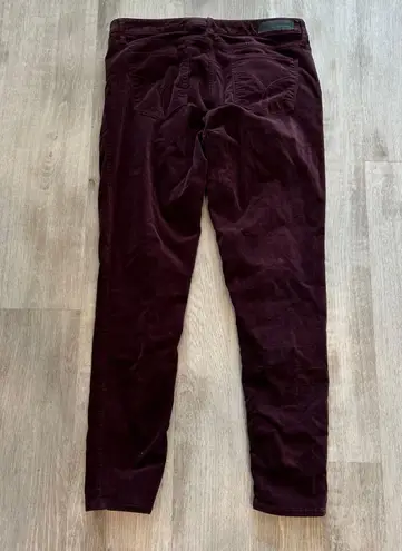 Calvin Klein Jeans legging velvet Maroon