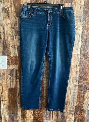 Inc international  Jeans Size 10 P Skinny Leg.   Inseam 28 rise 9 length 37 q17