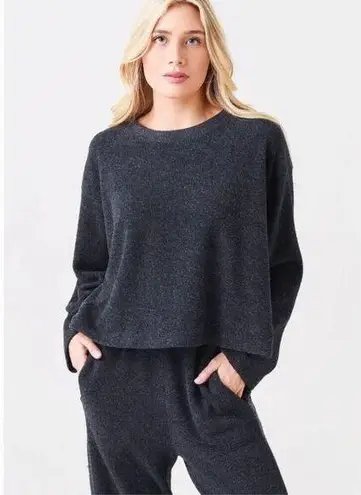 Velvet By Graham & Spencer Arissa Pullover Sz XS Charcoal Gray minimalist tradit