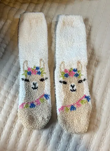 Altar'd State Socks