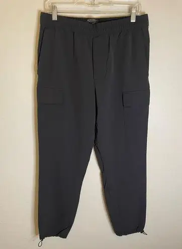 Banana Republic  | Gray Relaxed Tapered Fit Performance Cargo Jogger Sz Medium